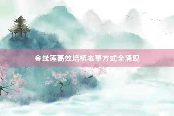 金线莲高效培植本事方式全涌现