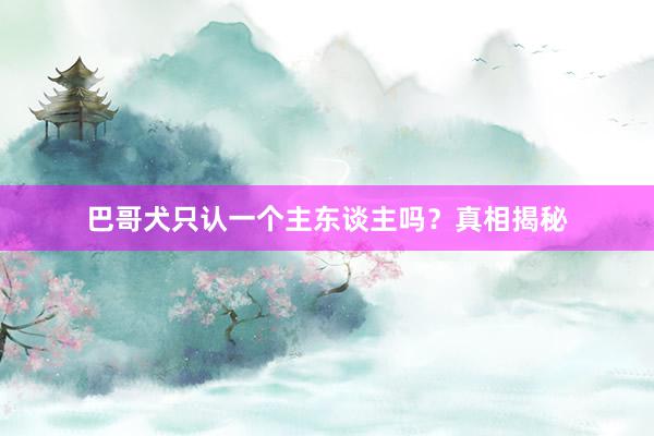 巴哥犬只认一个主东谈主吗？真相揭秘